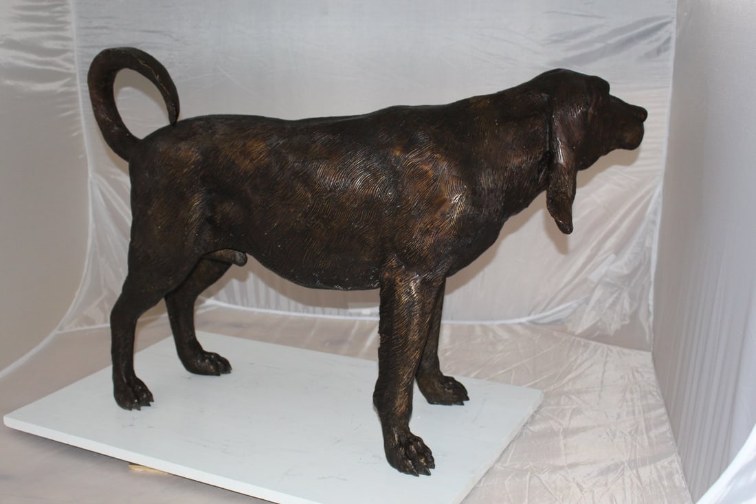 Hound dog Bronze Statue - Size: 38"L x 12"W x 26"H. - 9