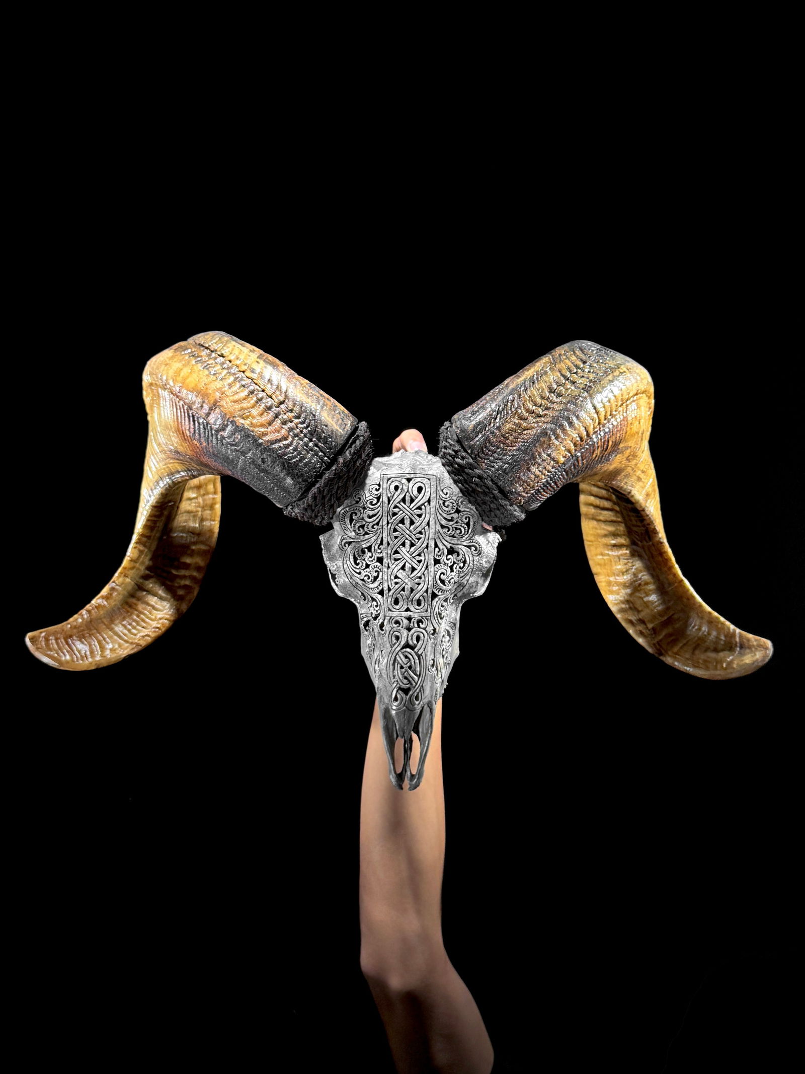 Carved grey ram skull - Infinity motif - 2