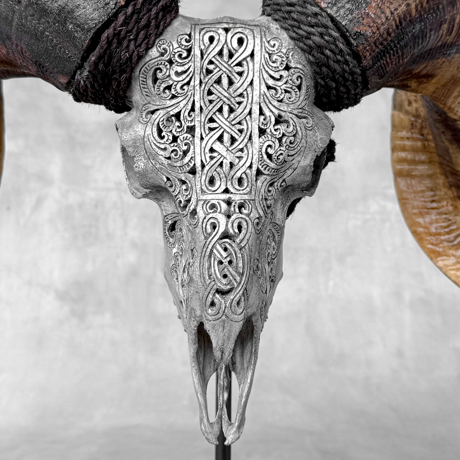 Carved grey ram skull - Infinity motif - 4