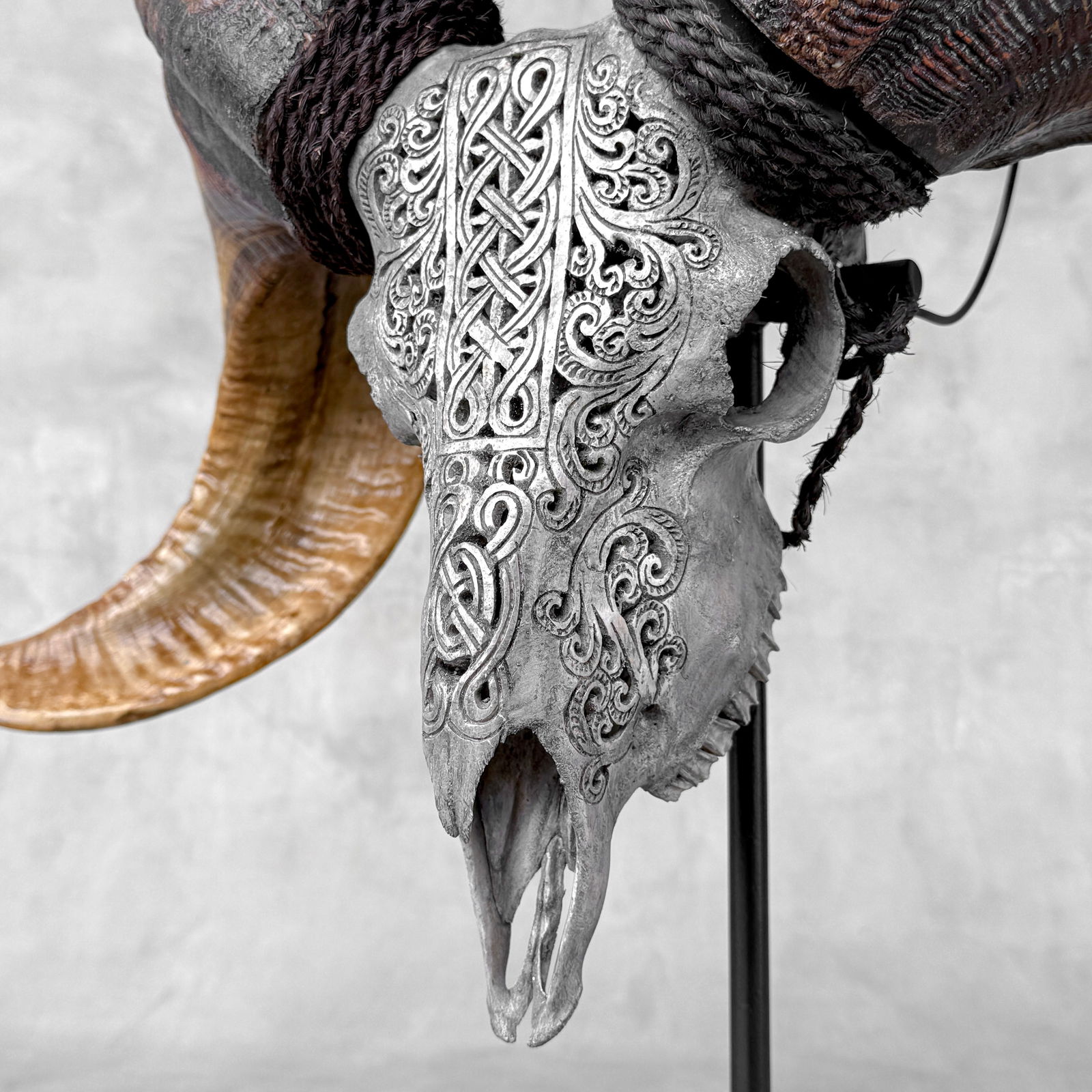 Carved grey ram skull - Infinity motif - 6