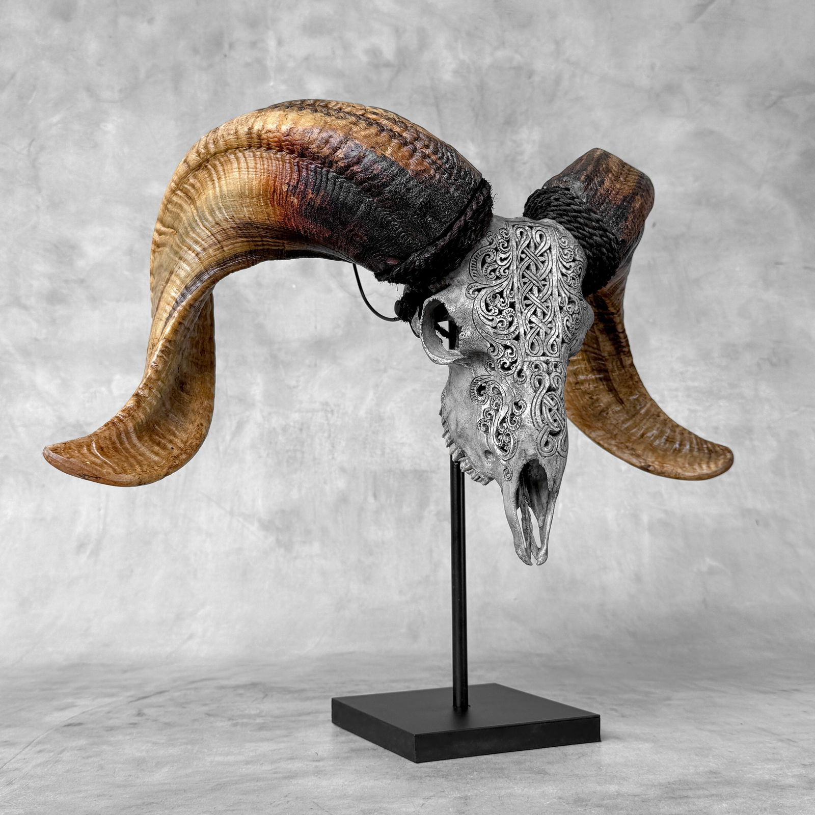 Carved grey ram skull - Infinity motif - 9