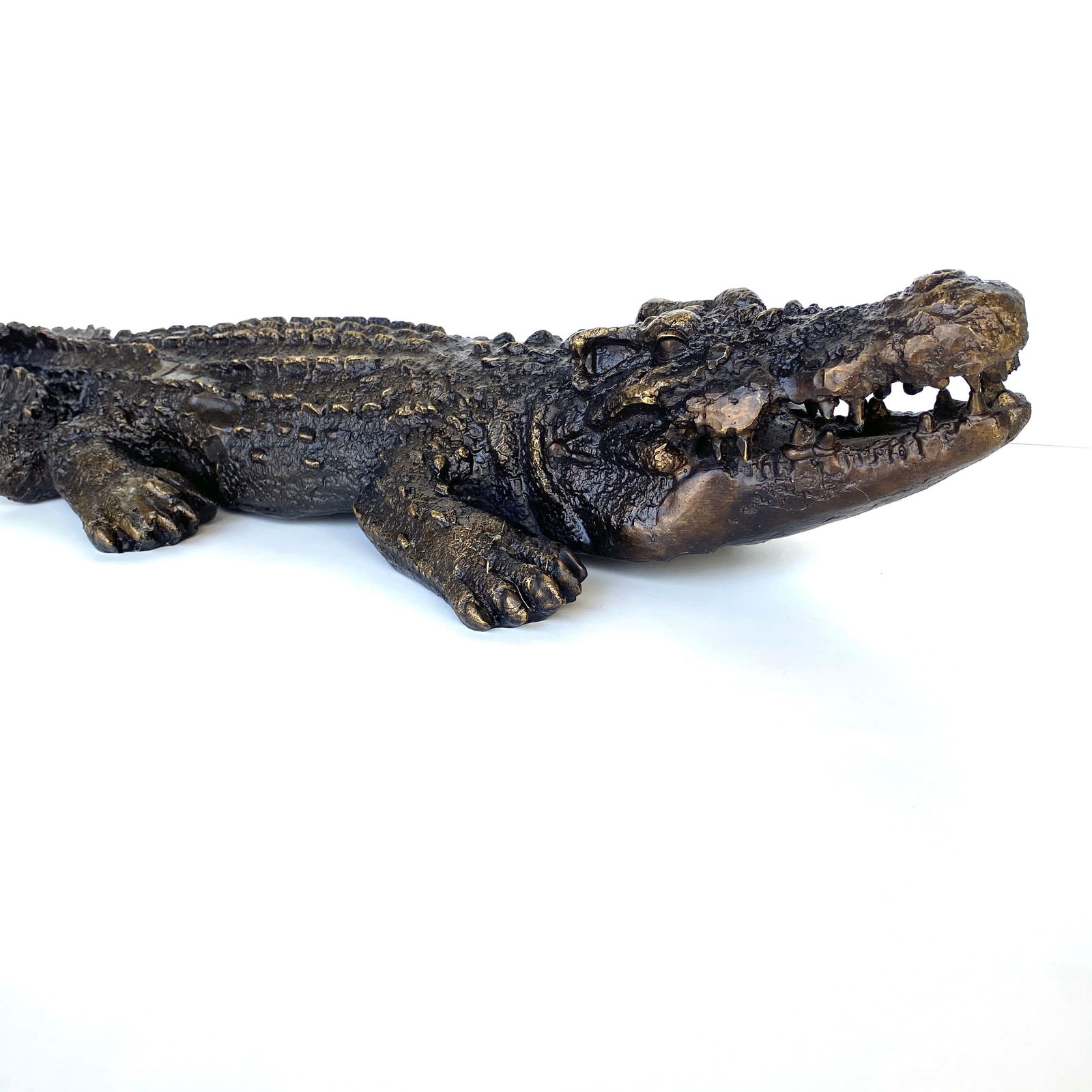 Bronze Aligator - 2