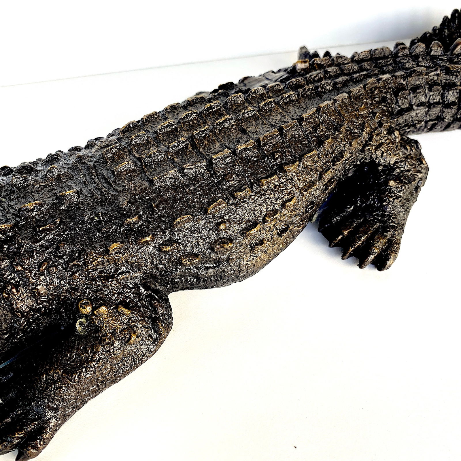 Bronze Aligator - 6