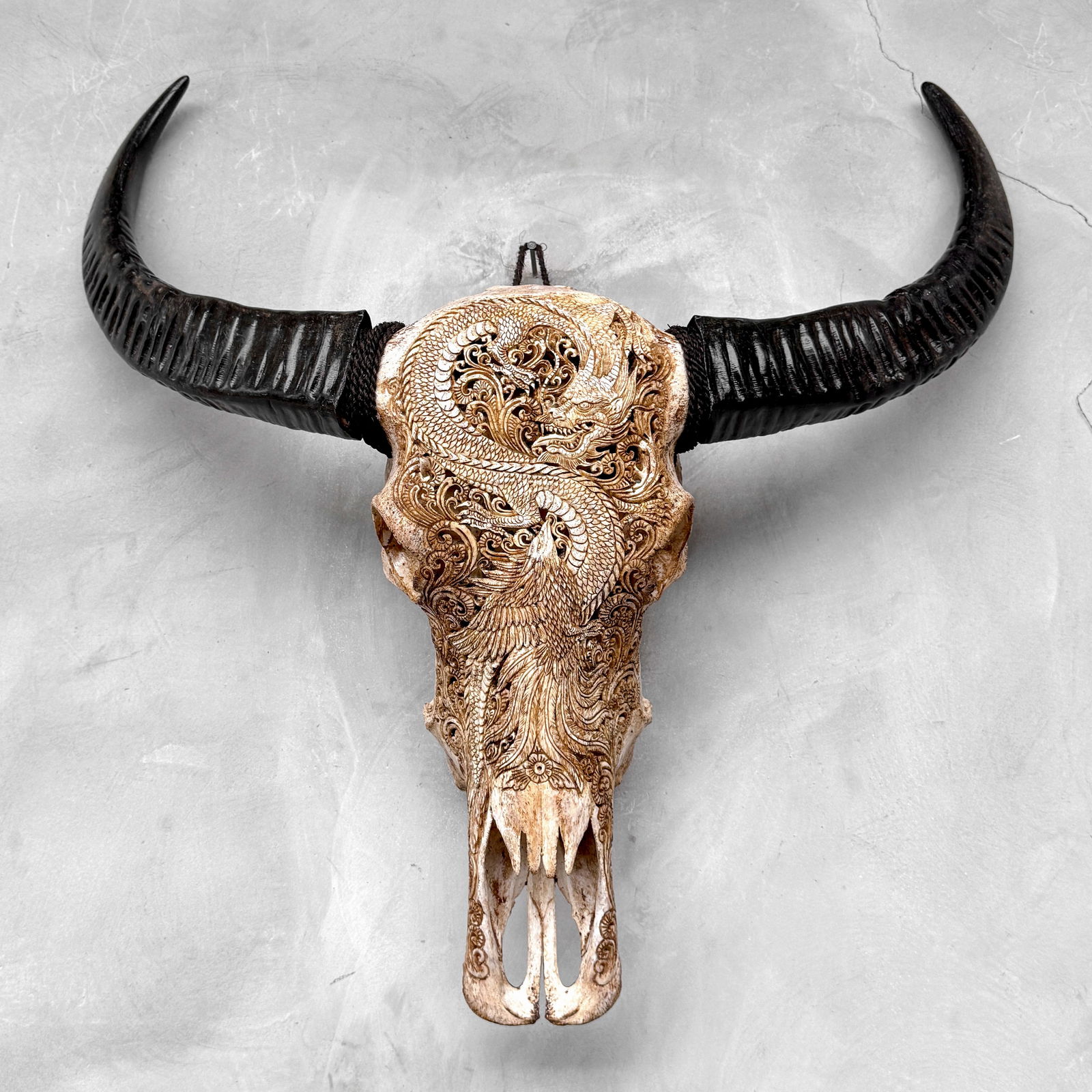 Antique brown waterbuffalo skull - Dragon phoenix motif - 10