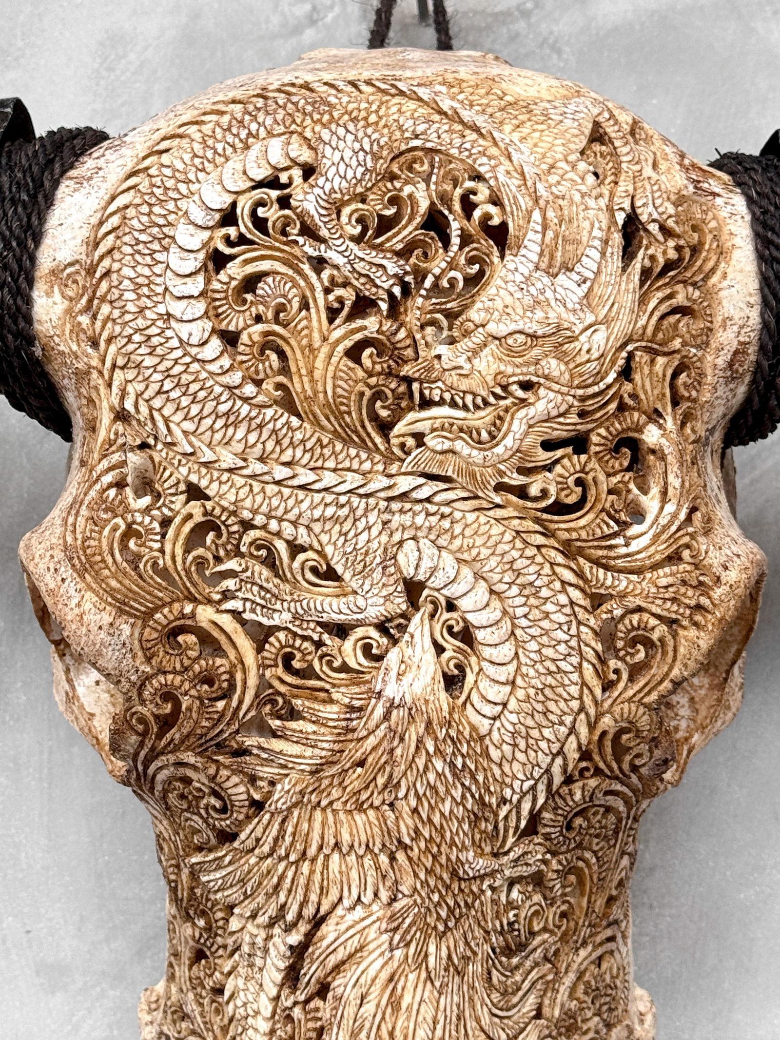 Antique brown waterbuffalo skull - Dragon phoenix motif - 4