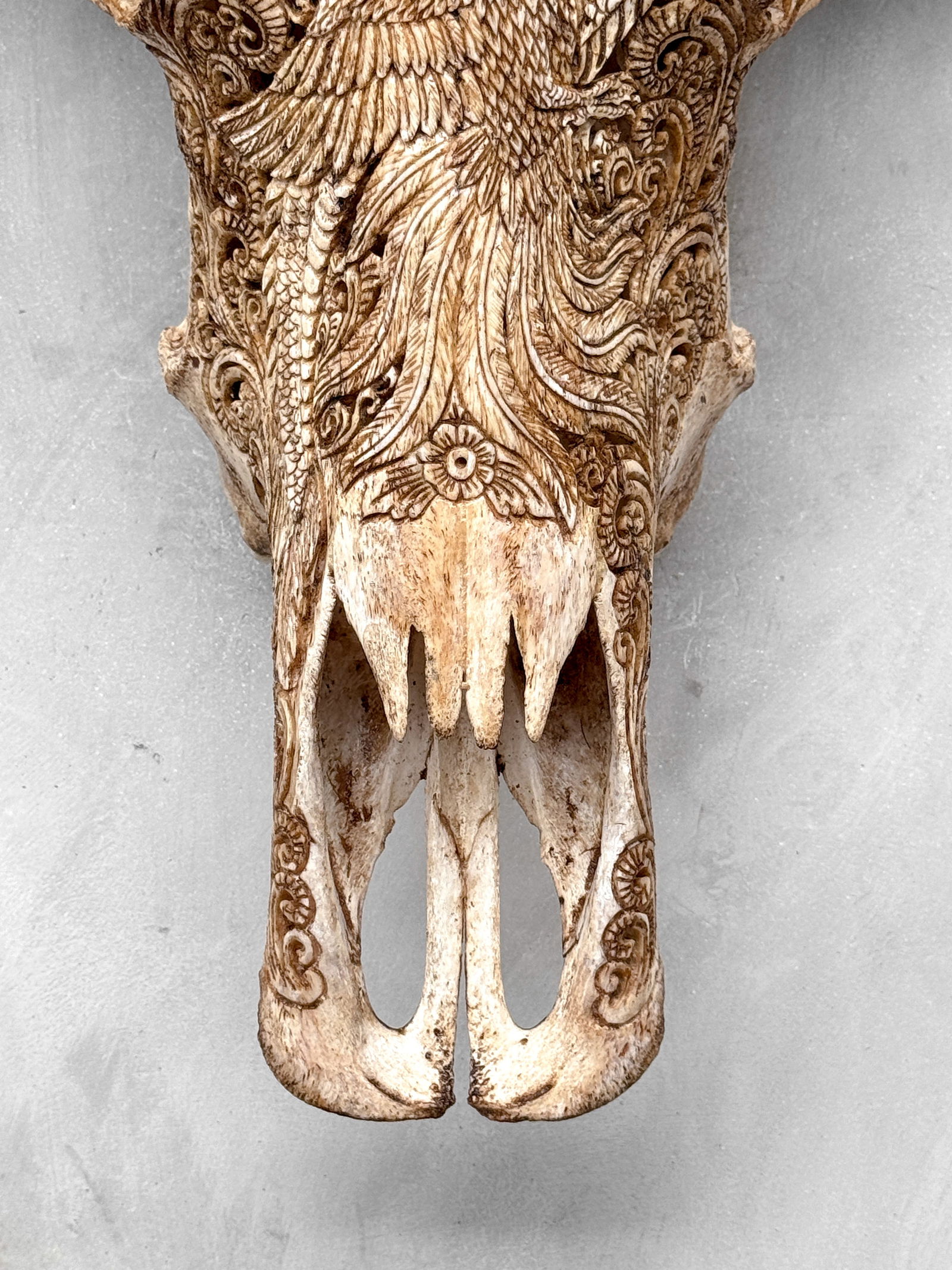 Antique brown waterbuffalo skull - Dragon phoenix motif - 5