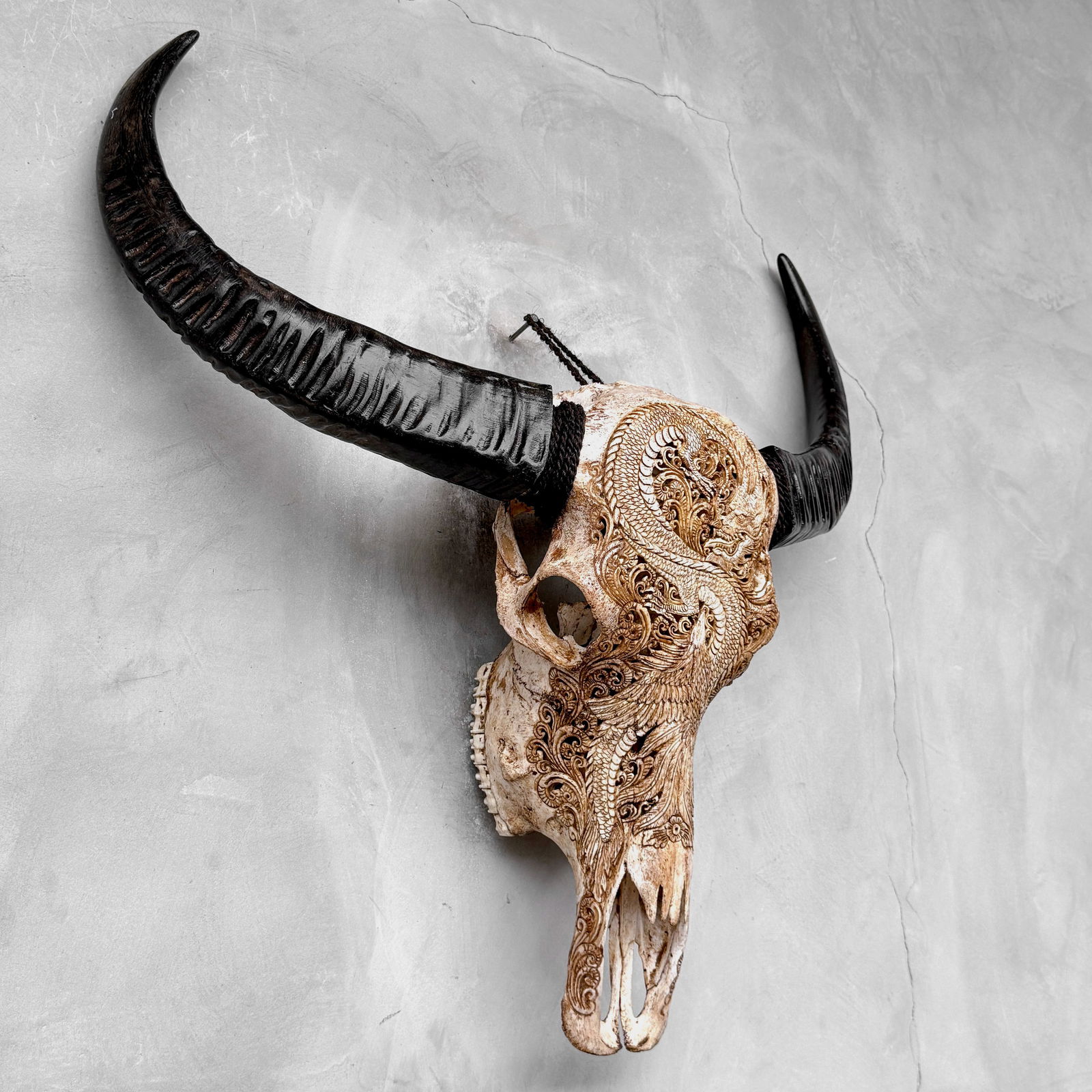 Antique brown waterbuffalo skull - Dragon phoenix motif - 6