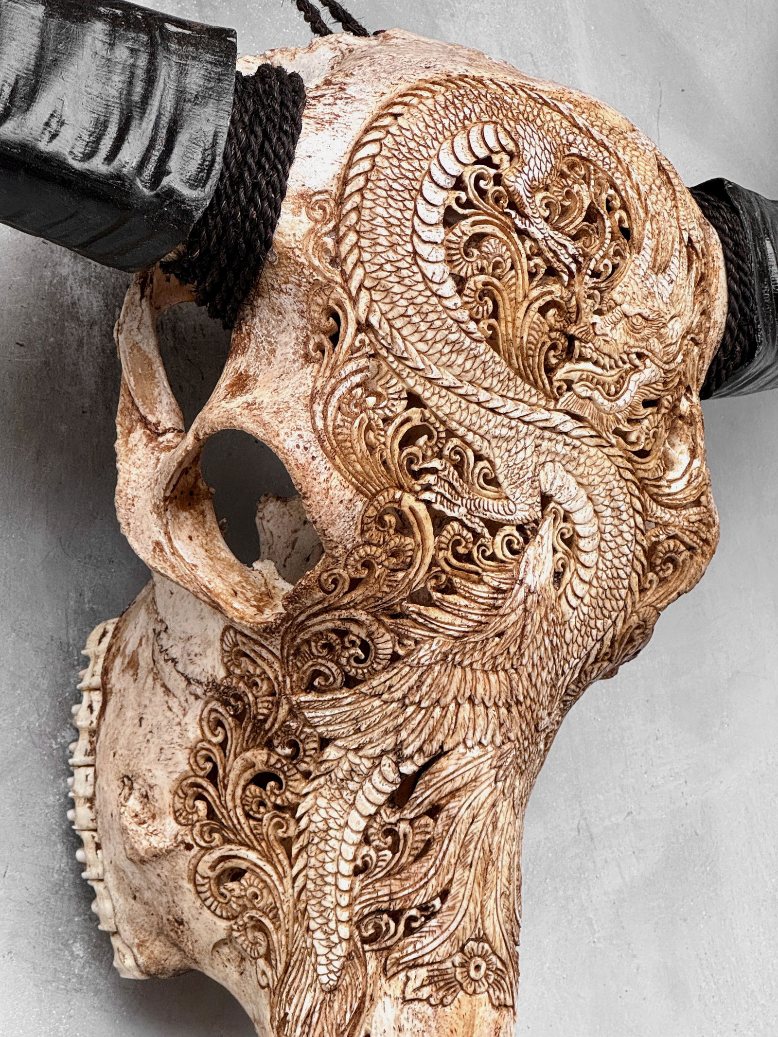 Antique brown waterbuffalo skull - Dragon phoenix motif - 7