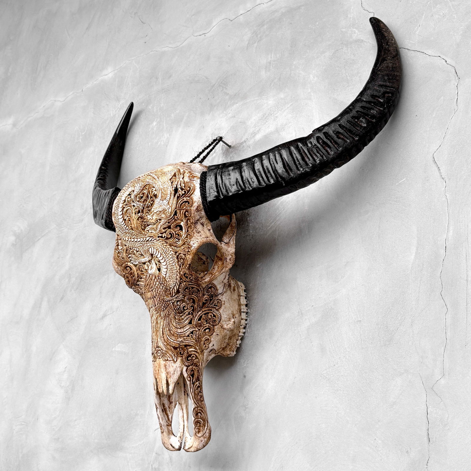 Antique brown waterbuffalo skull - Dragon phoenix motif - 8
