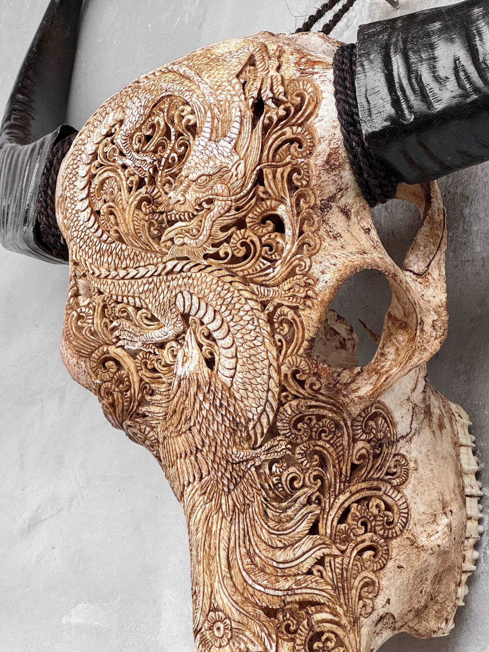 Antique brown waterbuffalo skull - Dragon phoenix motif - 9