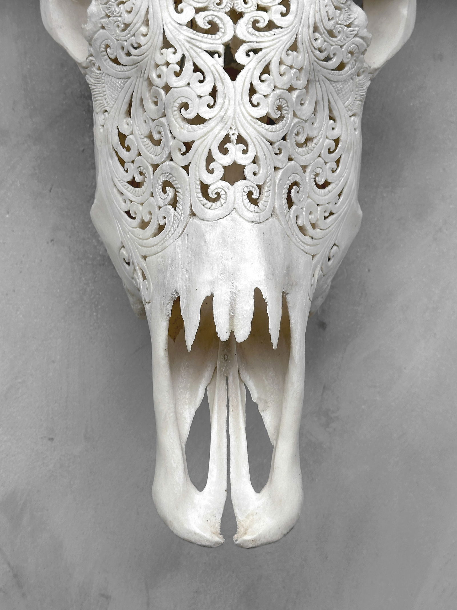 White buffalo skull - Traditional Balinese motif - 5