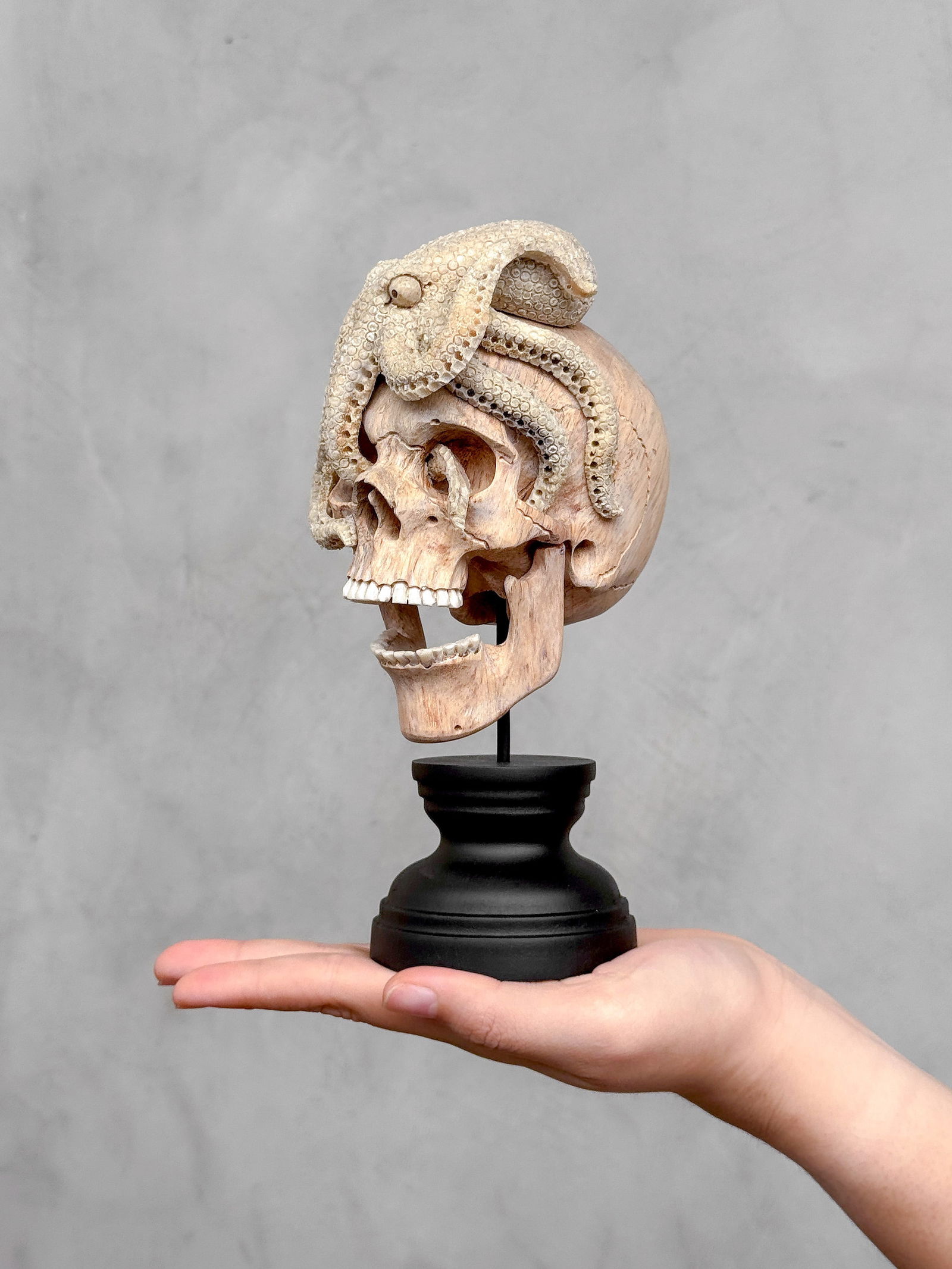 Carved human skull with a stunning carved octopus (1 of 10)