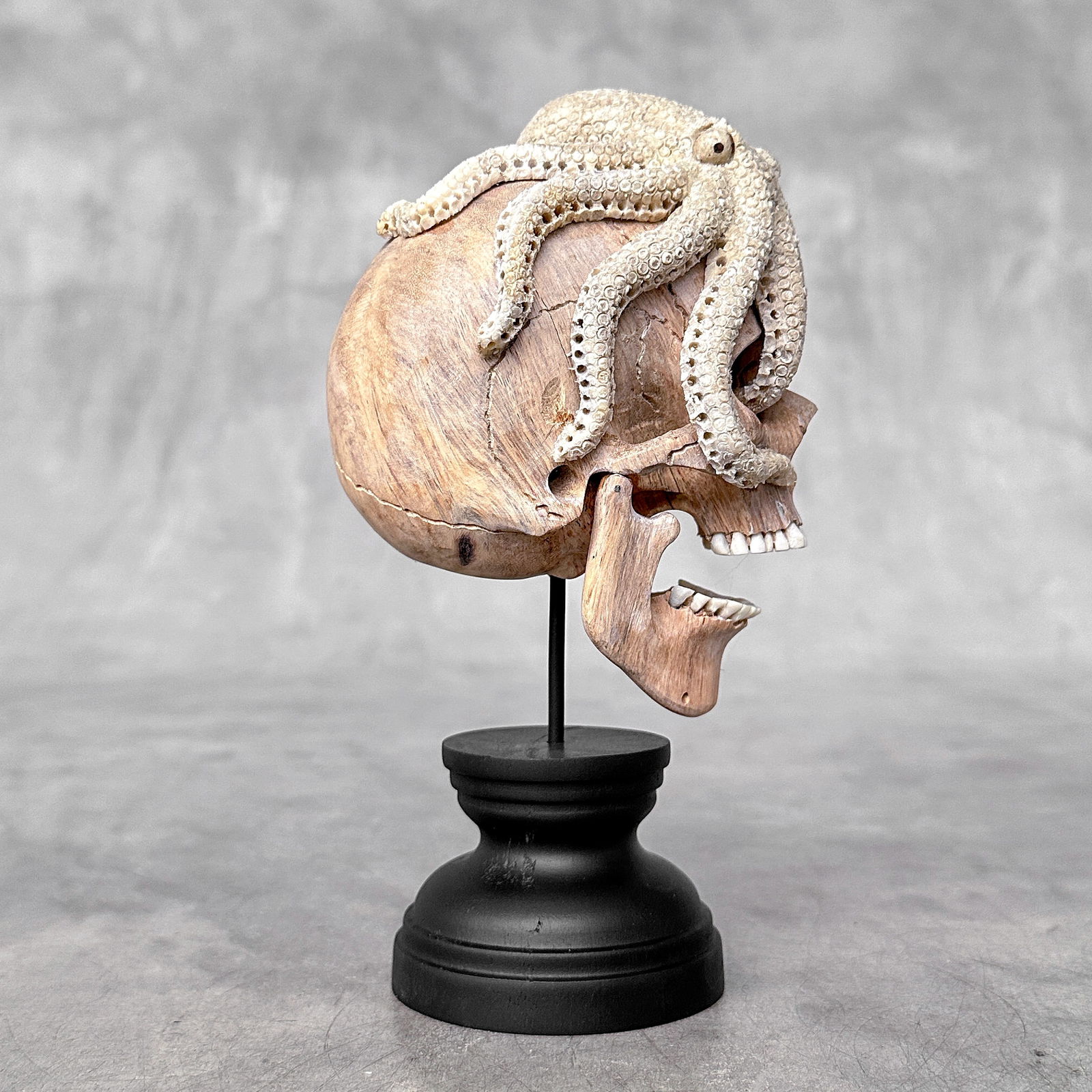 Carved human skull with a stunning carved octopus - 7