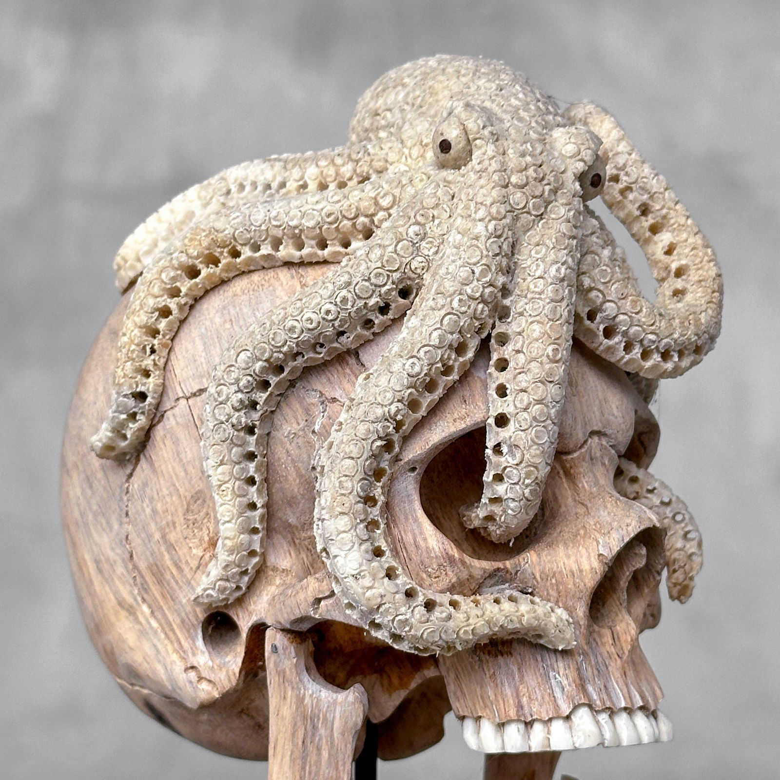 Carved human skull with a stunning carved octopus - 8