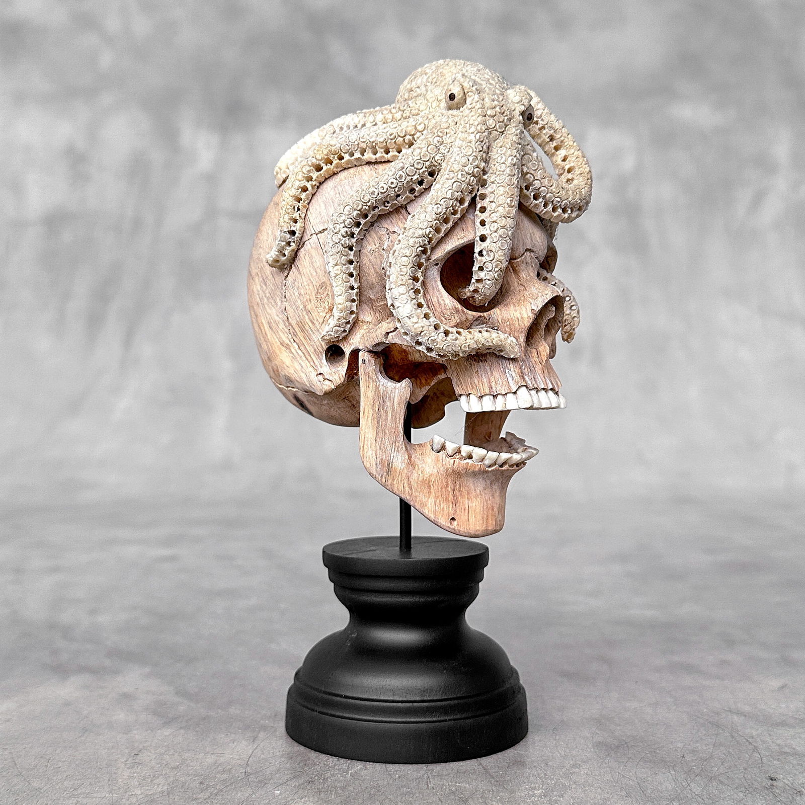 Carved human skull with a stunning carved octopus - 9