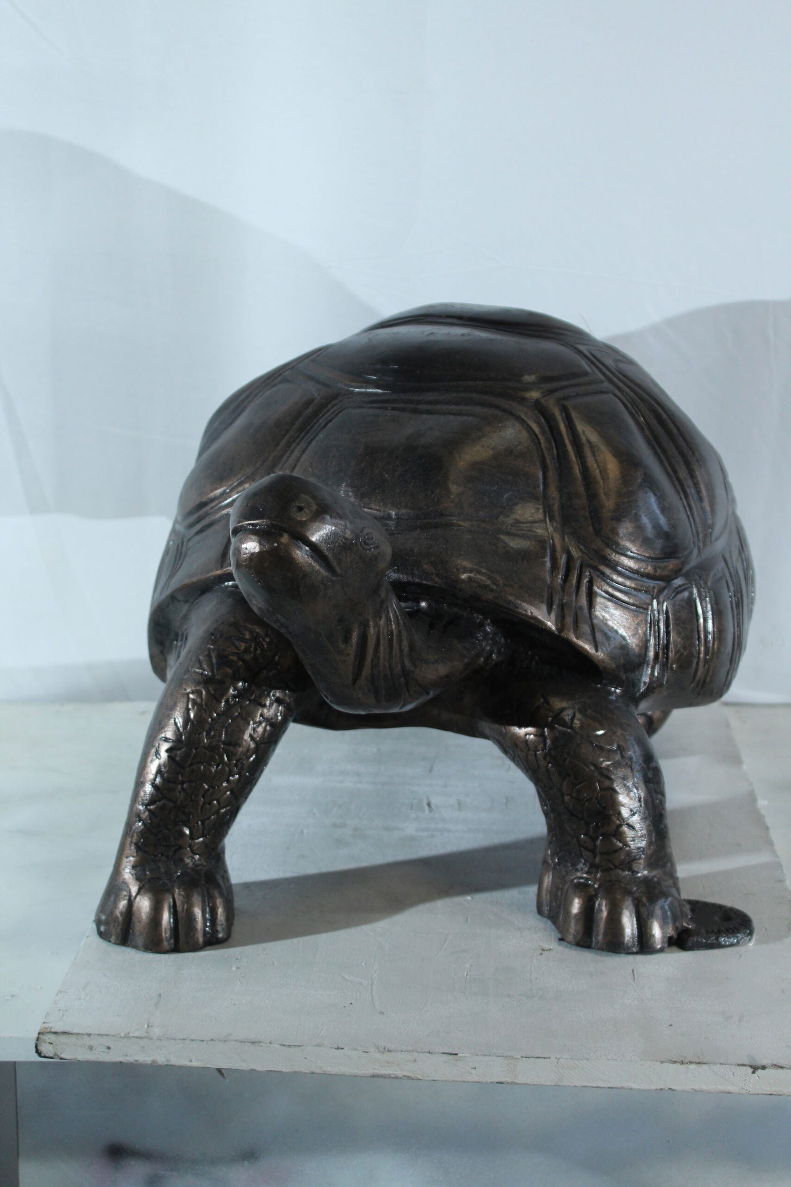 Large Aluminum Tortoise Statue with Detailed Shell and Legs - Realistic Wildlife Sculpture, Bronze - 6