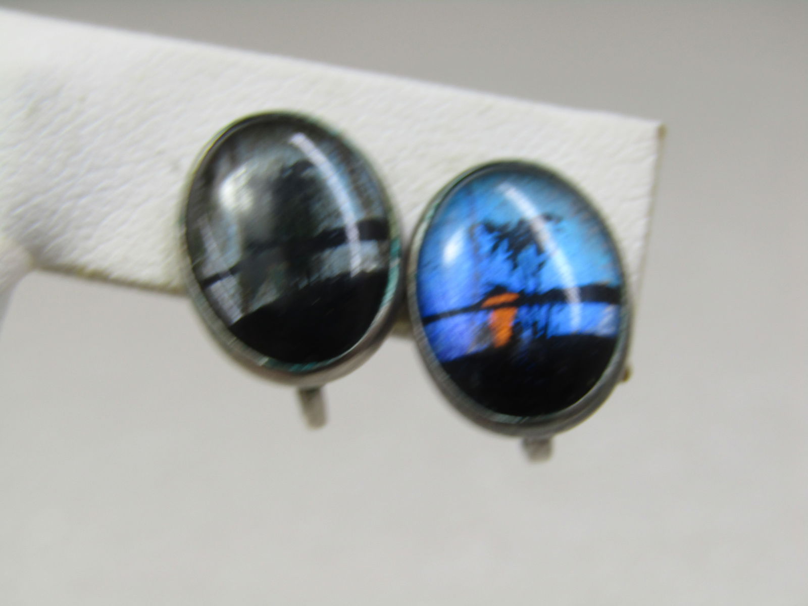 Vintage Morpho Beach Sunset Earrings, Screwback, 1940's-1950's: Vintage Morpho Beach Sunset Earrings, Screwback, 1940's-1950's. 5/8" tall and 1/2" wide with the shimmery blue butterfly wing background , coppery sunset and palm tree and beach sesign. One earrings i