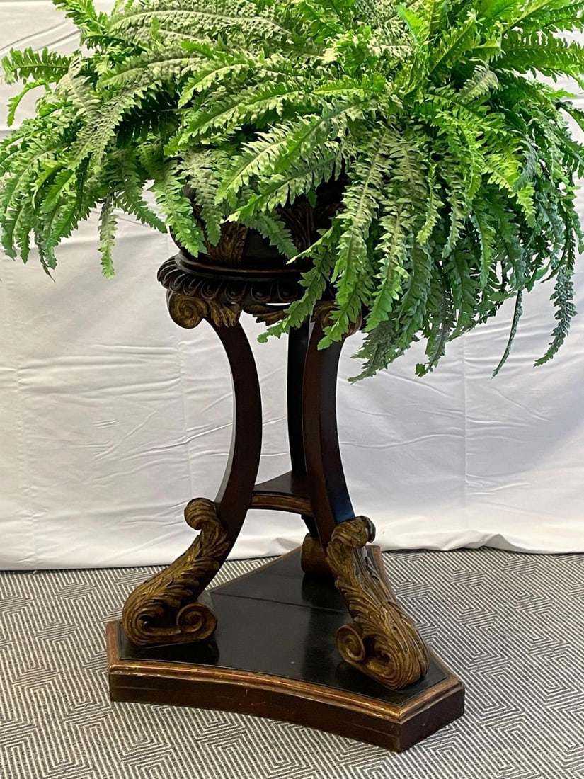 Georgian Gilt Wood Planter, Jardinière, Ebony and Gilt Design - 5