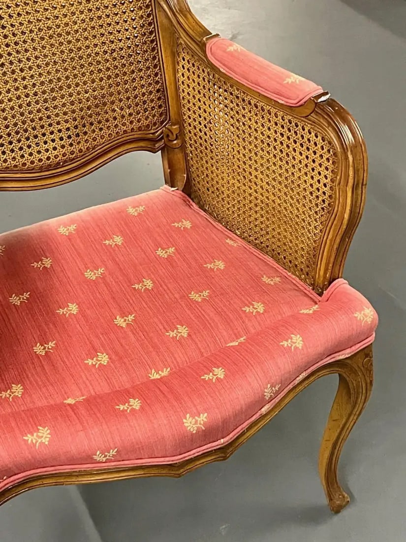 Pair of French Louis XV Style Cane Occasional/Armchairs, Wingbacks, France - 11