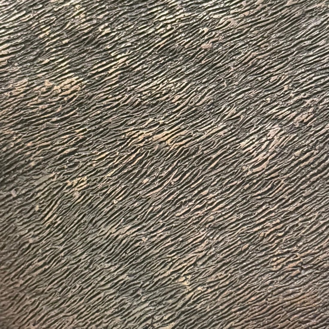 Modern Black Panther Sculpture, Hot Cast Bronze, American, 21st C. - 10