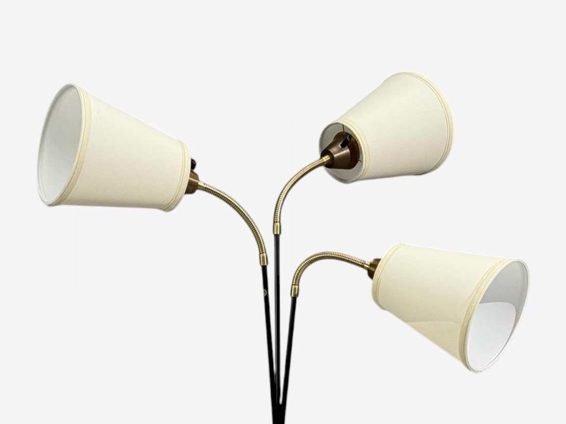 Swedish Modern, Adjustable Floor Lamp, Teak, Lacquered Metal, Sweden, 1960s - 4