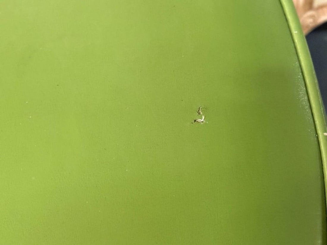 Dutch Modern, Bamboo, Green Leather, Three Barstools, Netherlands, 1970s - 11