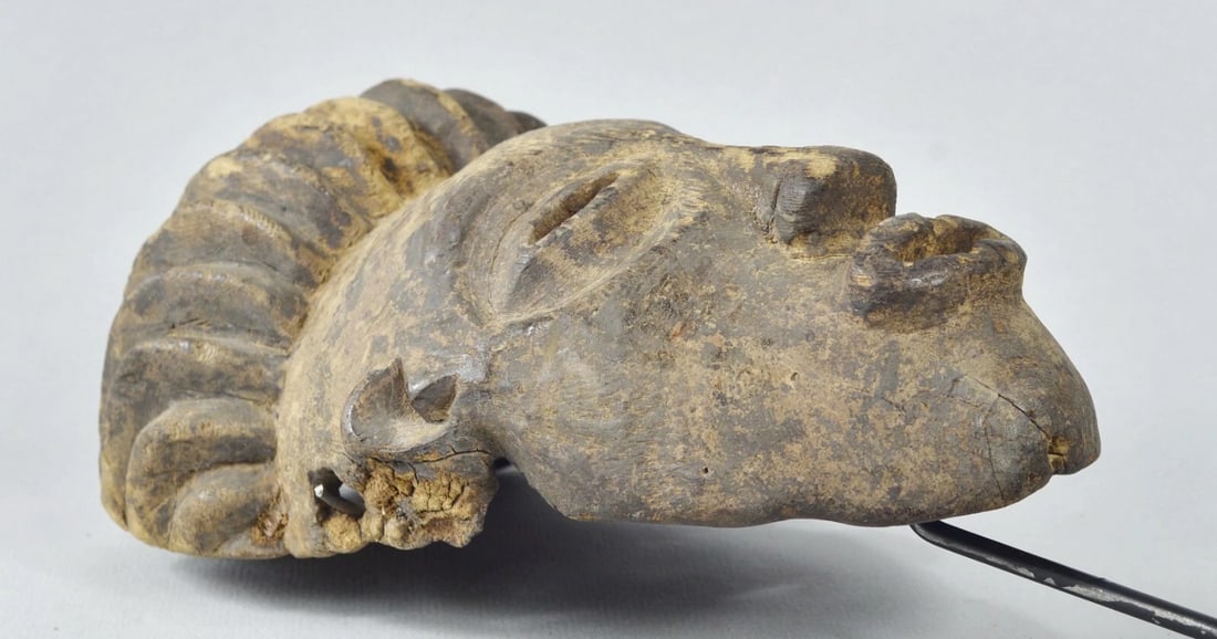 ZANDE AZANDE Rare & Powerful Ubangi Mask Congo DRC African Tribal Art 1741 - 11