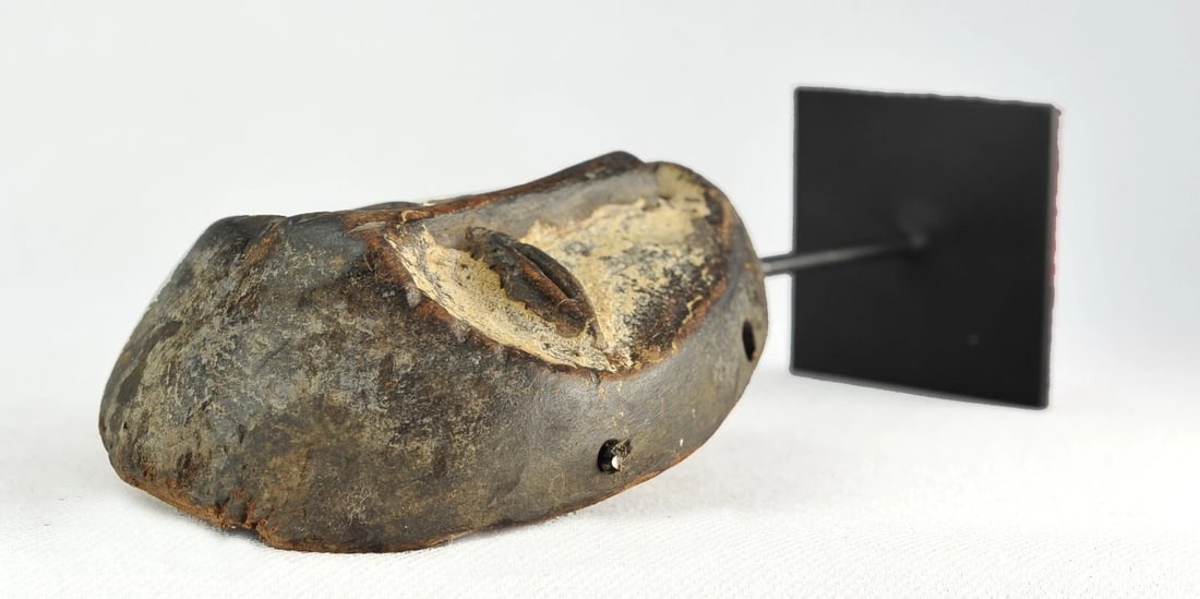 LEGA cute Lukwakongo Mask cult of the Bwami Congo Drc African Tribal Art 1130 - 11