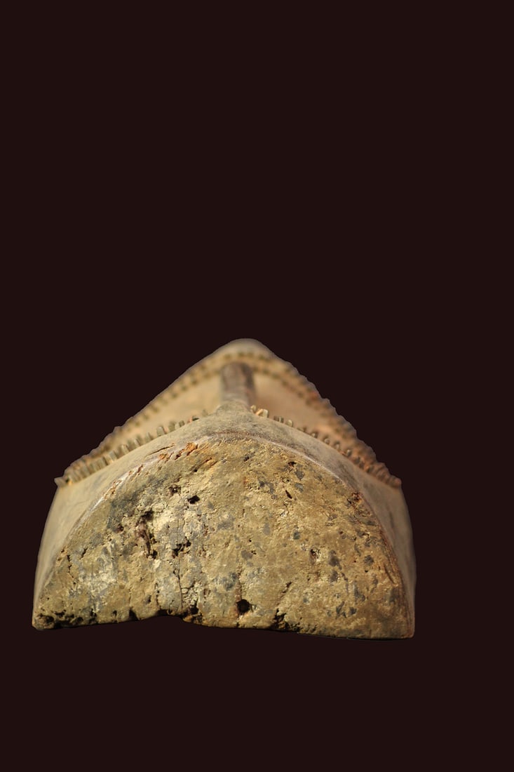 Initiation mask – Wood – Ngbaka – DR Congo - 6