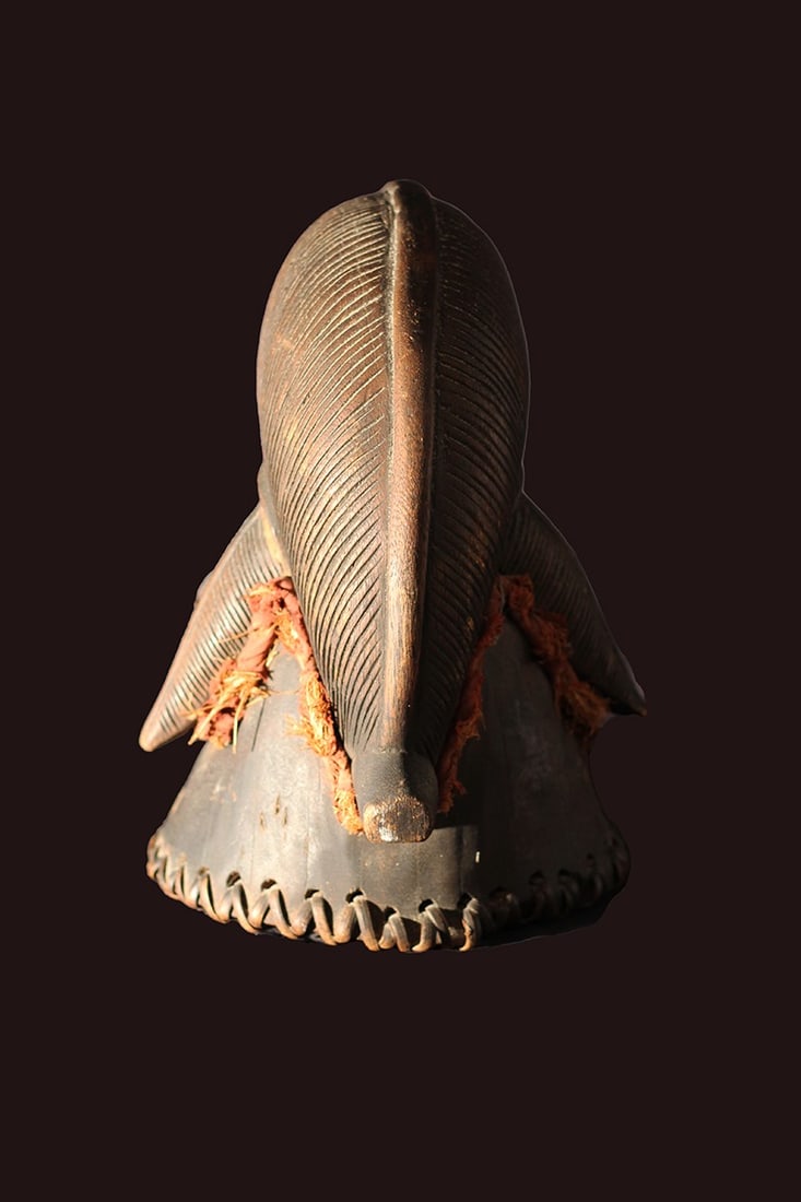 Initiation mask – Wood – Punu – Gabon - 6