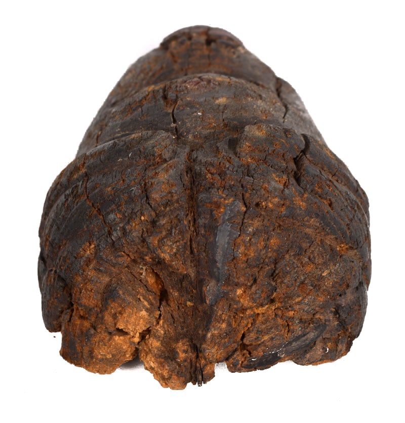 Initiation mask – Wood – Punu – Gabon - 9