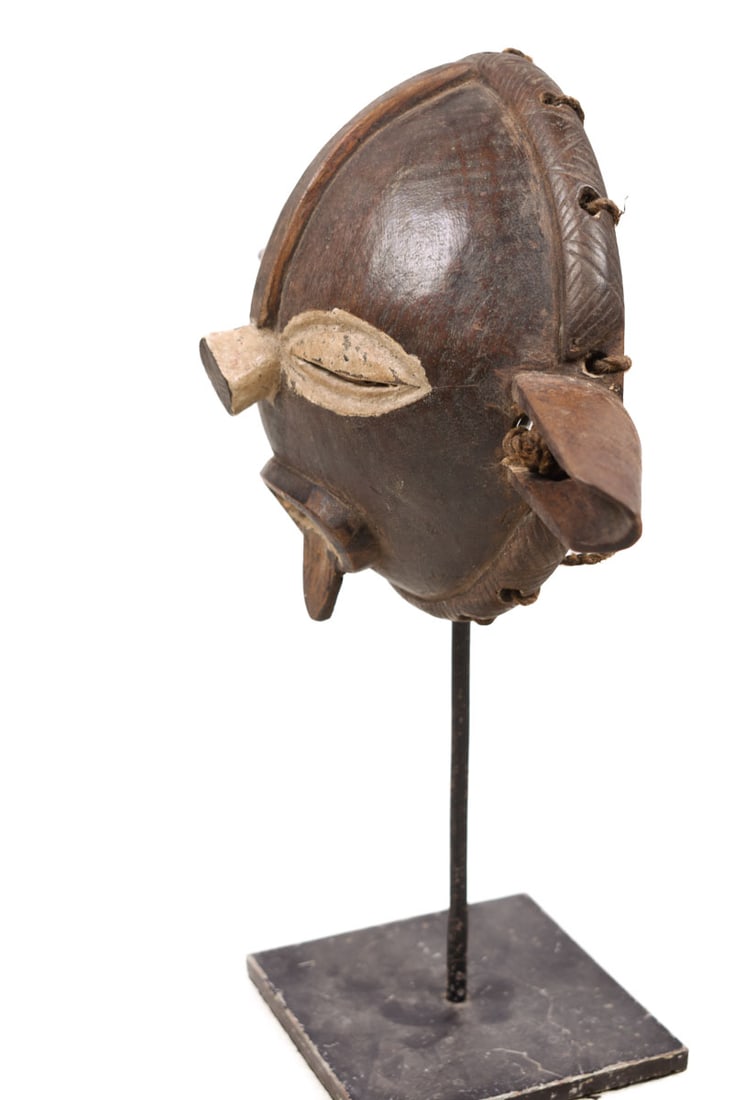 Panya Ngombe mask – Wood – Pende – Congo - 6