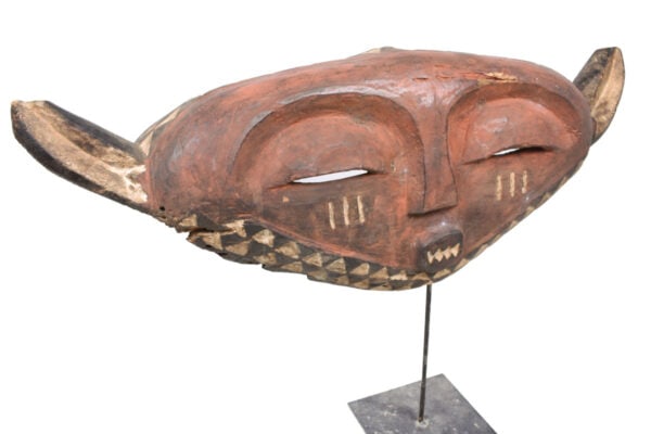 Panya Ngombe mask – Wood – Pende – Congo - 4