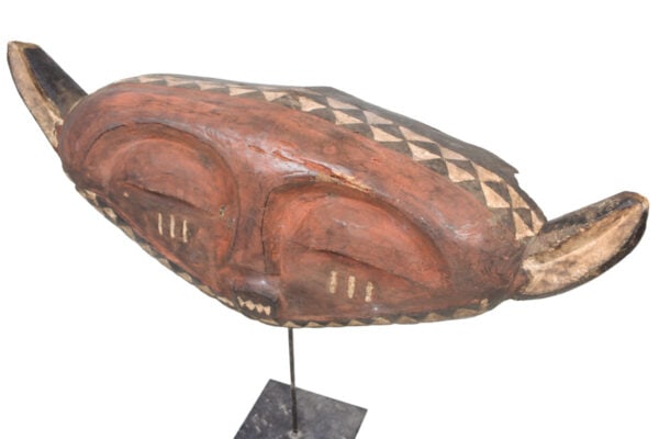 Panya Ngombe mask – Wood – Pende – Congo - 6