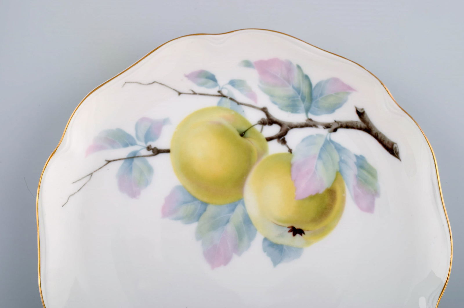 Kronach, Germany. 14 porcelain plates with hand-painted fruits. 1940s. - 5