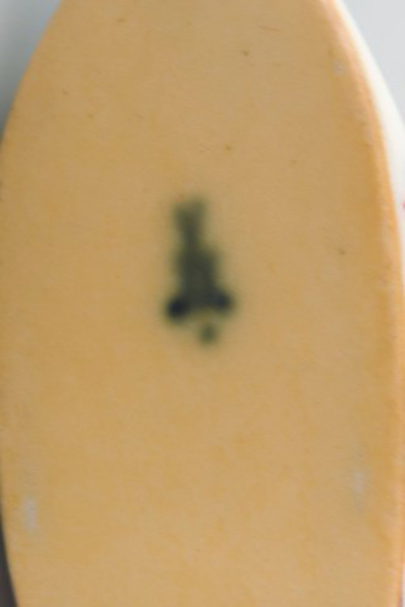 Antique Meissen slipper in hand-painted porcelain with floral motifs and gold edge. Early 19th - 6