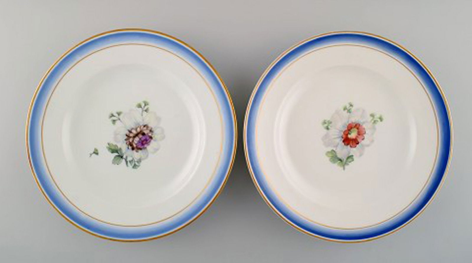 Five antique Royal Copenhagen plates in hand-painted porcelain with flowers and blue border with - 2
