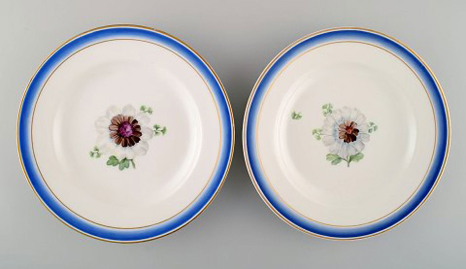 Five antique Royal Copenhagen plates in hand-painted porcelain with flowers and blue border with - 3