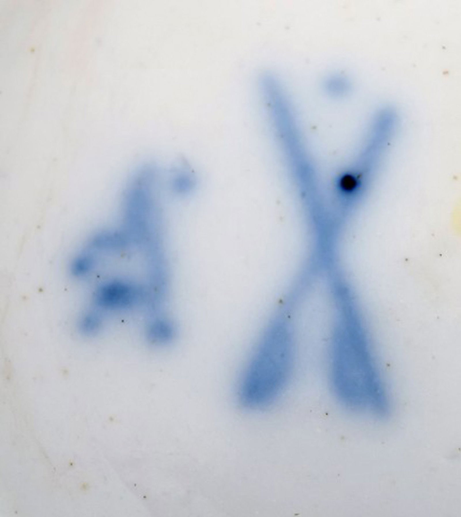 Antique and rare Meissen bonboniere in hand-painted porcelain with repousse flowers. 19th century. - 8