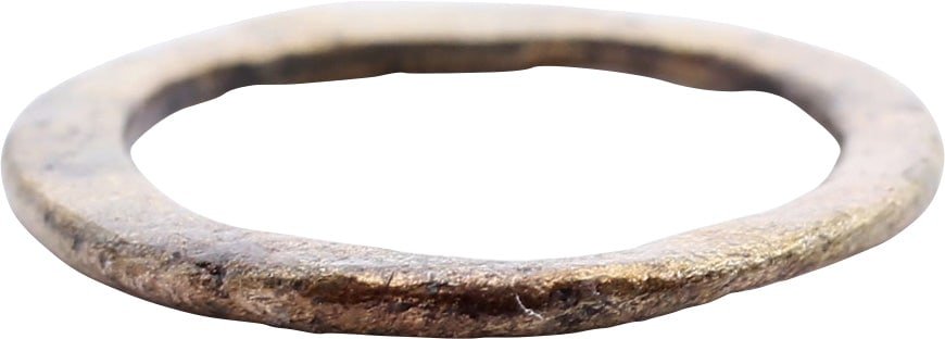 RARE VIKING WARRIOR’S BEARD RING (1 of 4)