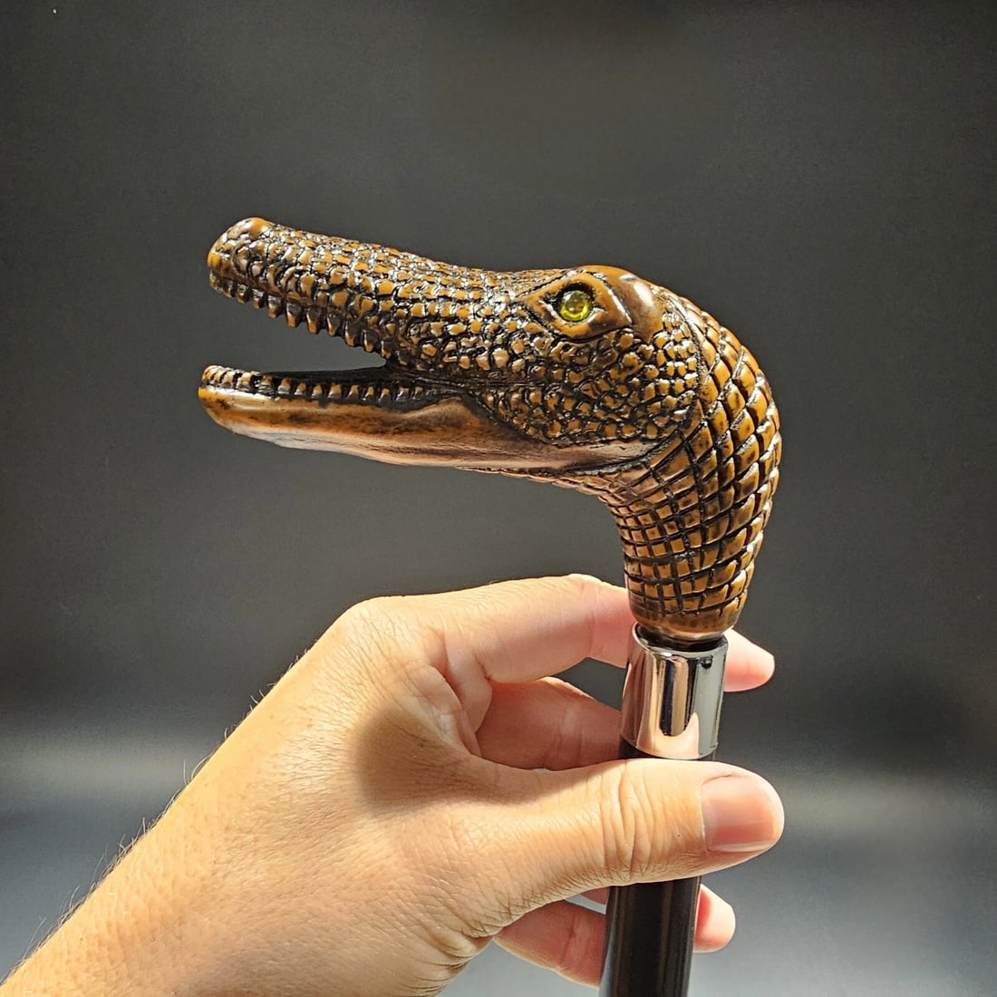 36" Gator Head Walking Stick Cane: 36" Long 3/4" shaft Introducing our beloved reproduction gator head walking cane, originating from Italy. Crafted from robust cellulose acetate, this handle sits atop a 3/4" beechwood shaft with a
