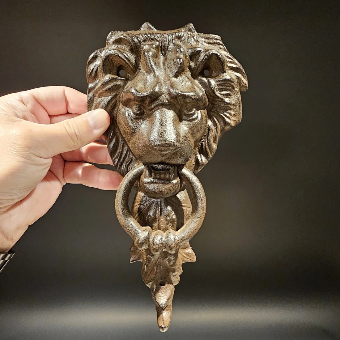 Cast Iron Lion Door Knocker w Hook - 5