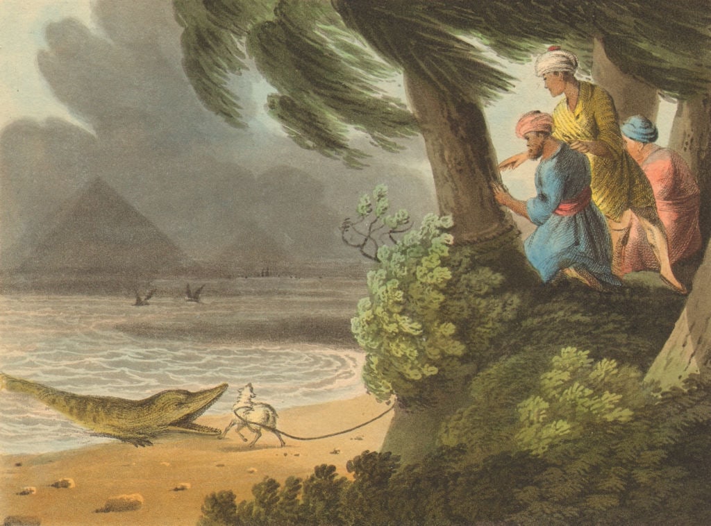 EGYPT. Crocodile catching Nile Pyramids. Lamb as bait (Edward Orme) 1814: Title: EGYPT. Crocodile catching Nile Pyramids. Lamb as bait (Edward Orme) 1814 Description: Egyptian Crocodile catching'. JH Clark del; M Dubourg sculpt. Published 1814. Antique aquatint print with
