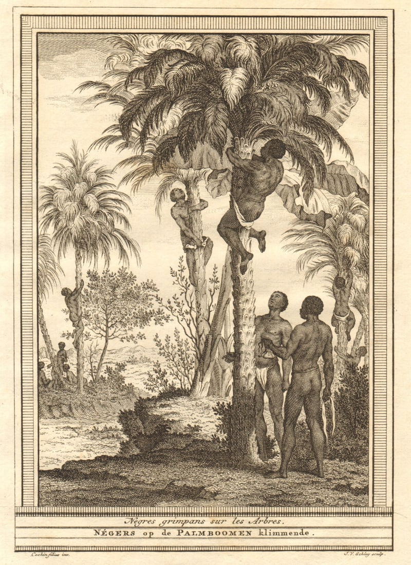 Négres grimpans sur les arbres. Guinea-Bissau negroes climbing trees SCHLEY 1747: Title: Négres grimpans sur les arbres. Guinea-Bissau negroes climbing trees SCHLEY 1747 Description: Négres grimpans sur les arbres [Negroes climbing trees] by Schley, Jakob van der. Publish