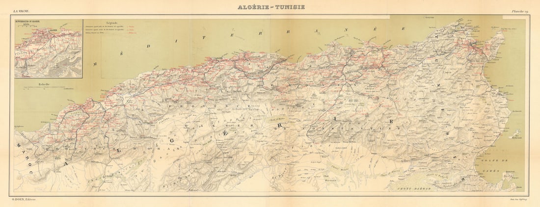 Algérie Tunisie. Algeria & Tunisia. French North Africa wine map HAUSERMANN 1901: Title: Algérie Tunisie. Algeria & Tunisia. French North Africa wine map HAUSERMANN 1901 Description: Algérie - Tunisie' by Hausermann, Rémy. Published 1901. Antique colour wine region