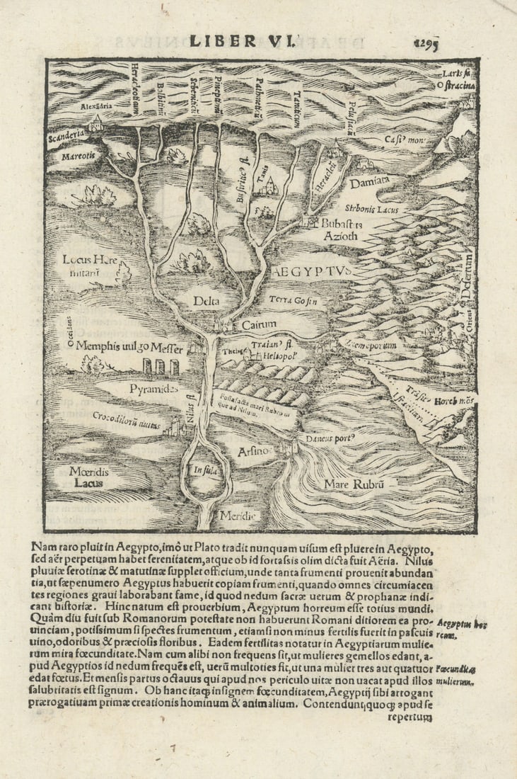 Aegyptus. Cairo, the Nile Delta & Egypt. SEBASTIAN MÜNSTER 1572 old map (1 of 1)