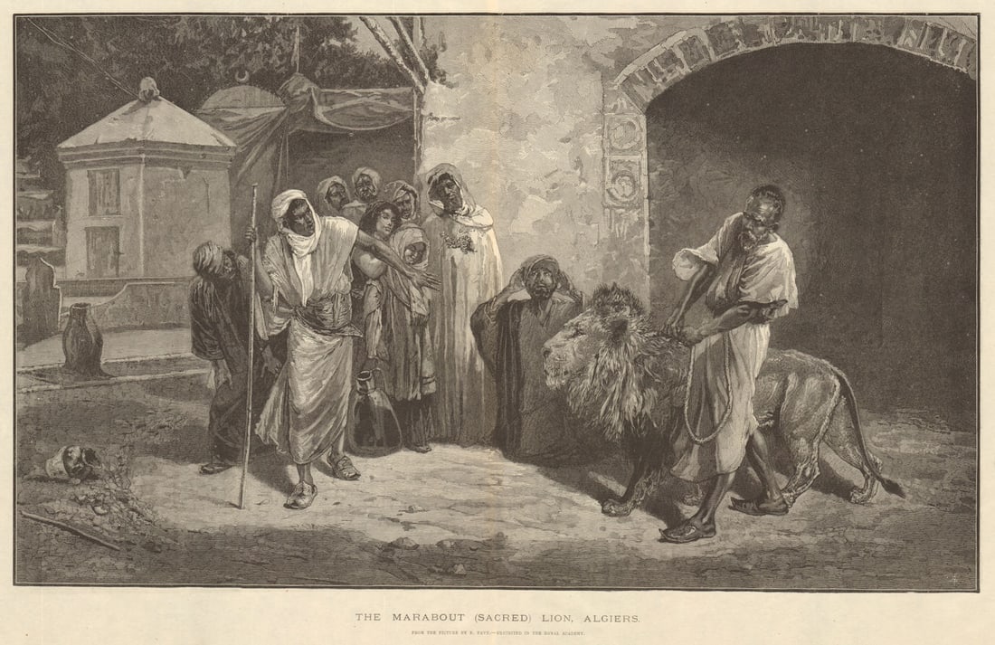The Marabout (sacred) lion, Algiers. From the picture by E. Pavy. Algeria 1883 (1 of 1)