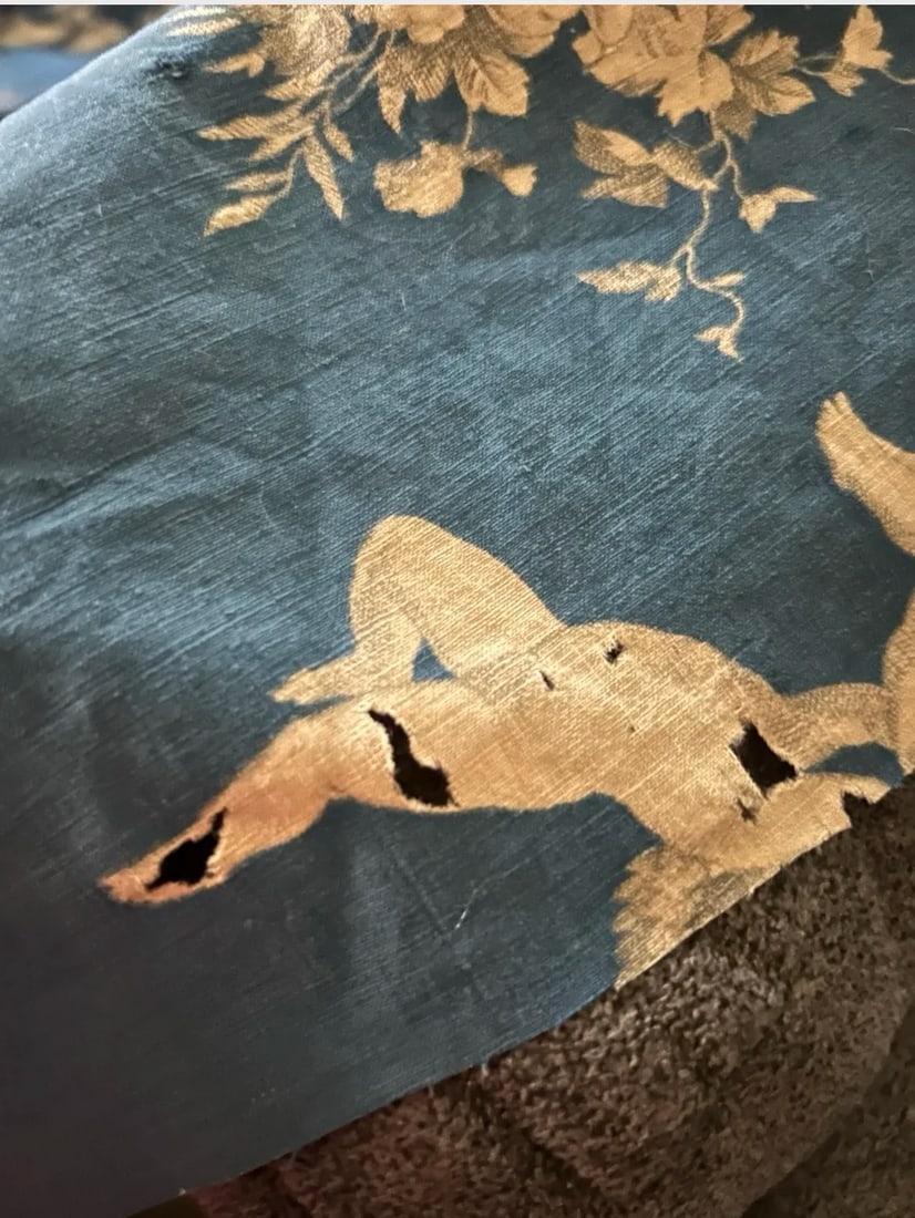 Antique French Toile Fabric - 9