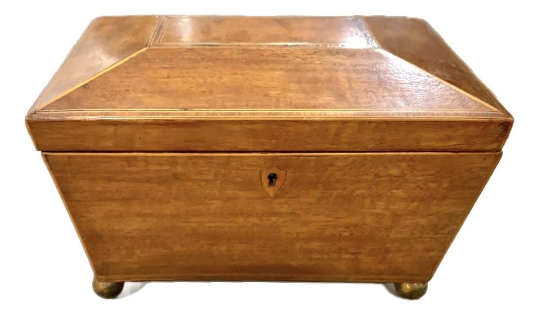 English Regency Sarcophagus Shaped Tea Caddy (1 of 11)