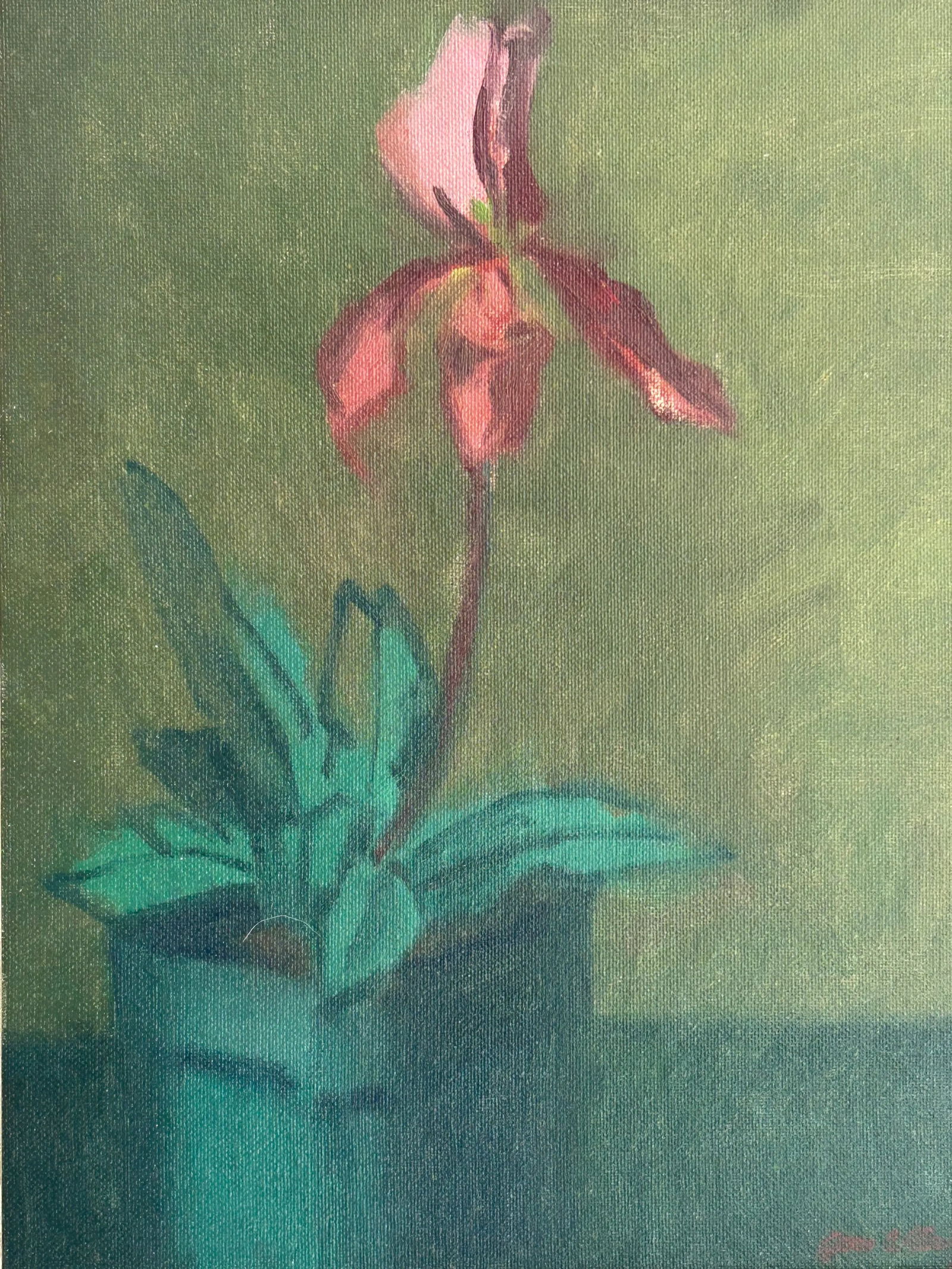 Original Oil Painting by James Clinton Mumby – Botanical Orchid Still Life - 8